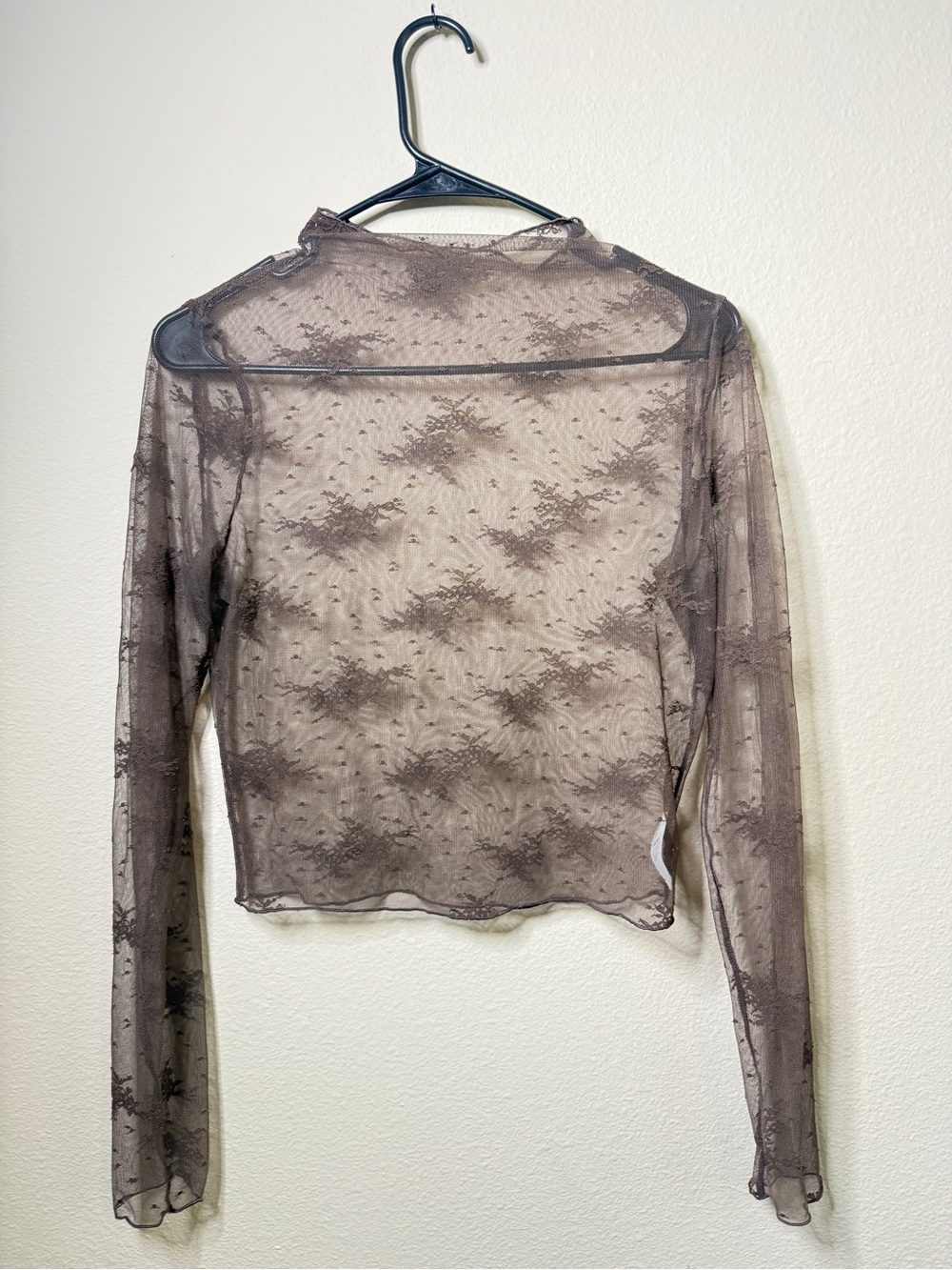 aerie Sheer Lace Long-Sleeve Top in Taupe